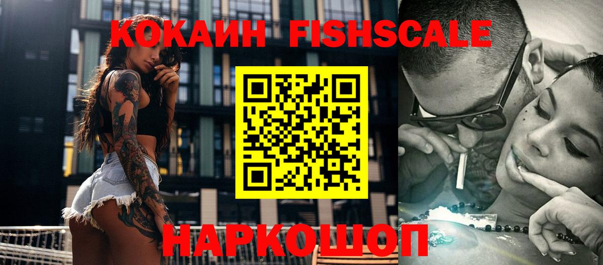 Cocaine Fish Scale  Вход с VPN  Свободный 